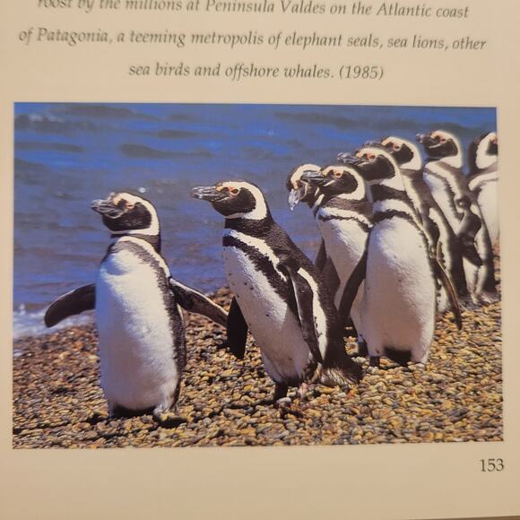 Book: The Art of Adventure Author: Galen Rowell Hardcover  Great Condition - Picture 8 of 9